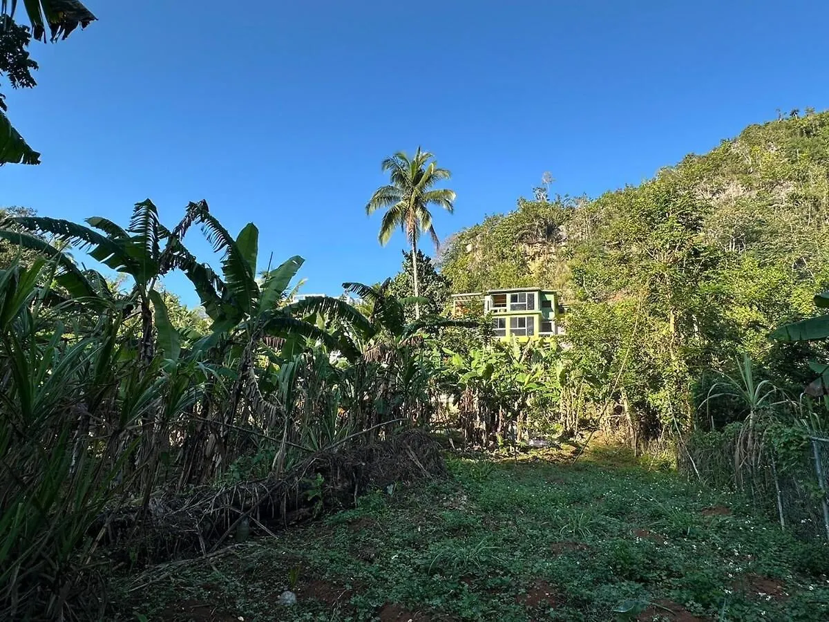 Exclusive Mountain And Farm Villa Escape Spring Garden Jamaica