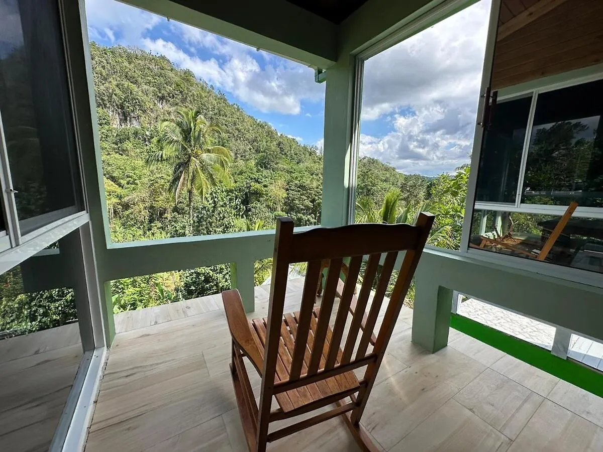 Exclusive Mountain And Farm Villa Escape Spring Garden 0*,  Jamaica